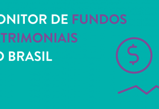 Monitor de fundos patrimoniais no brasil